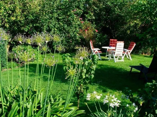 Seeperle - Seeschwalbe Dahme (Schleswig-Holstein)