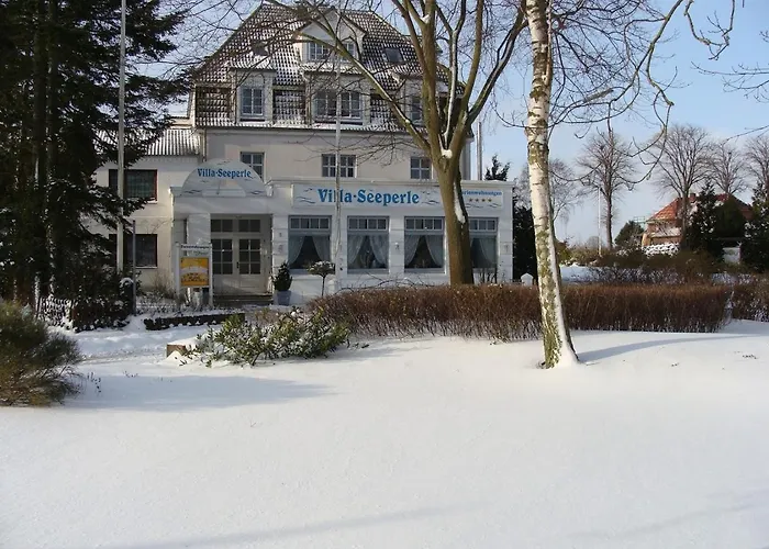 Seeperle - Seeschwalbe *