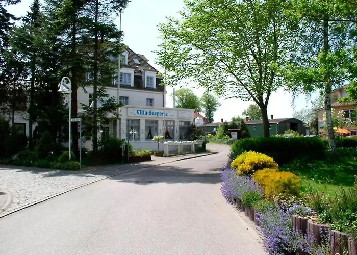 Seeperle - Seeschwalbe Dahme (Schleswig-Holstein)